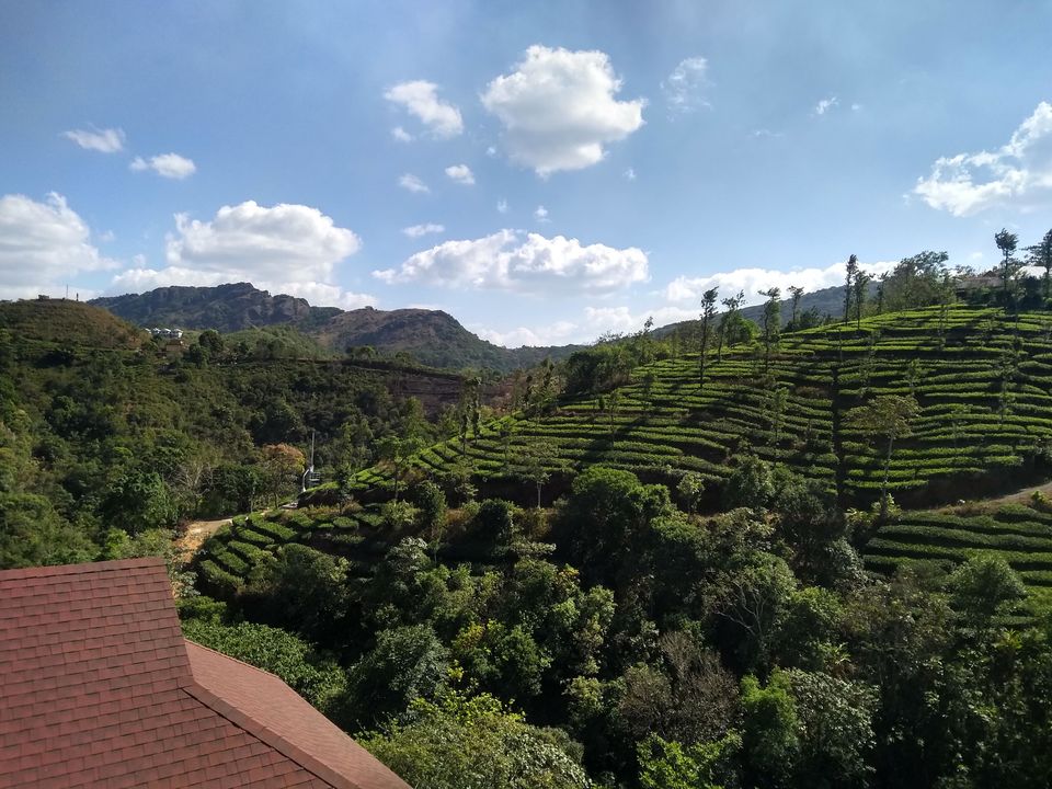 Photo of Zostel, Winter Vale Road, Vagamon, Kerala, India by Mustafa Shahid