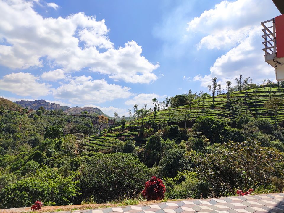 Photo of Zostel, Winter Vale Road, Vagamon, Kerala, India by Mustafa Shahid