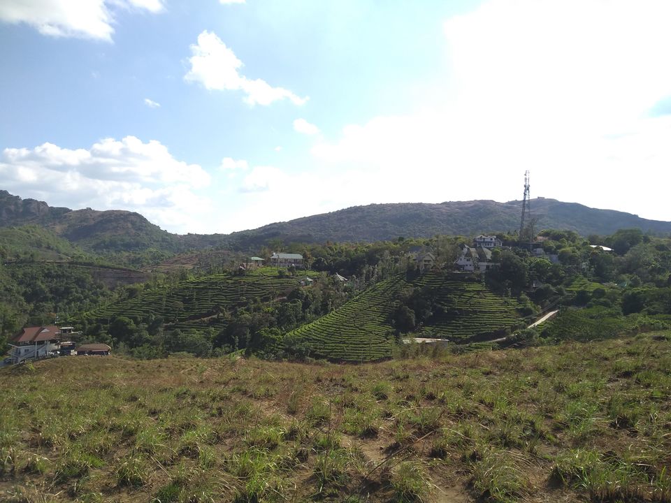 Photo of Vagamon #RoadTrip | Kerala | India by Mustafa Shahid