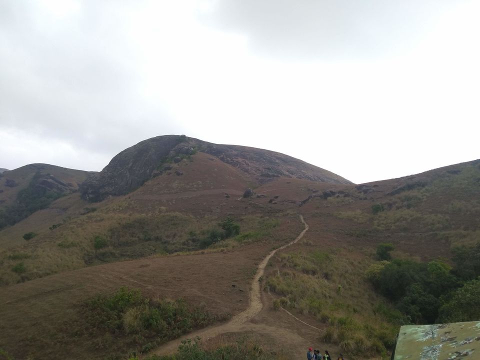 Photo of Vagamon #RoadTrip | Kerala | India by Mustafa Shahid