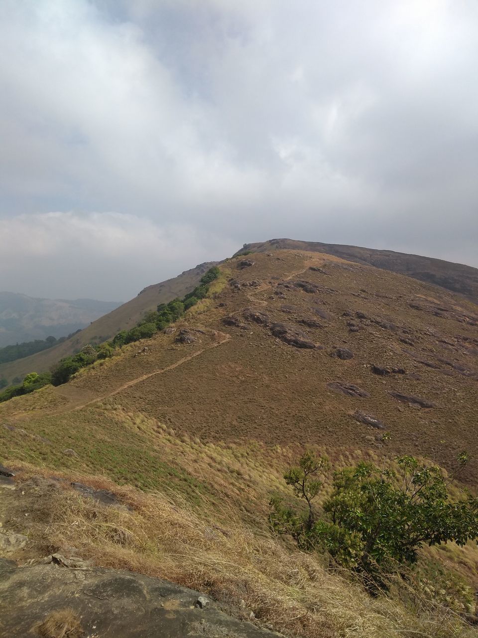 Photo of Vagamon #RoadTrip | Kerala | India by Mustafa Shahid