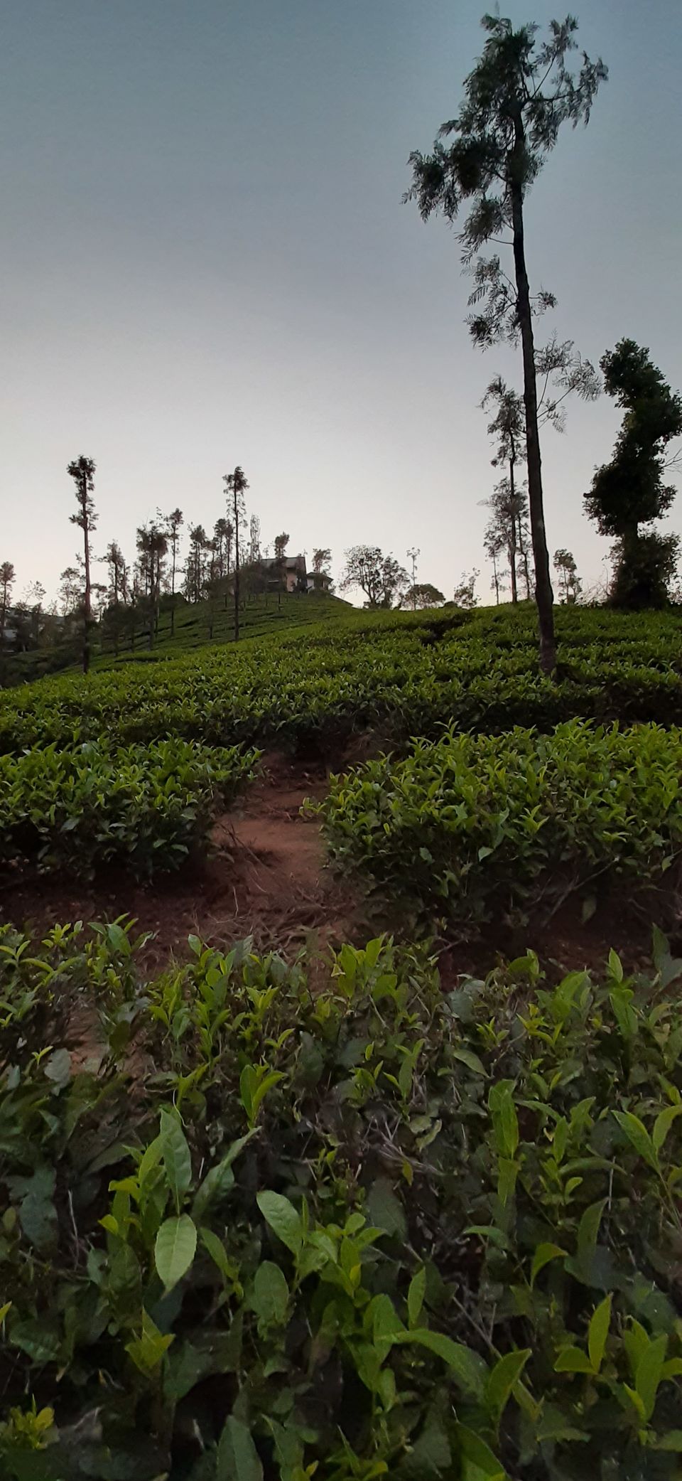 Photo of Zostel, Winter Vale Road, Vagamon, Kerala, India by Mustafa Shahid