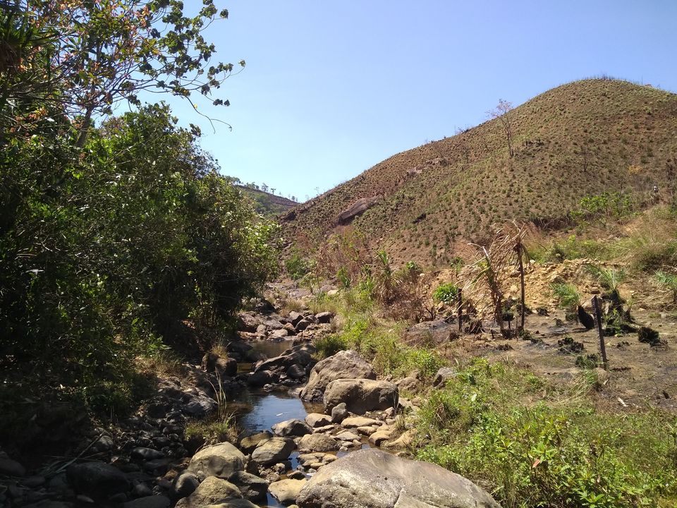 Photo of Vagamon #RoadTrip | Kerala | India by Mustafa Shahid