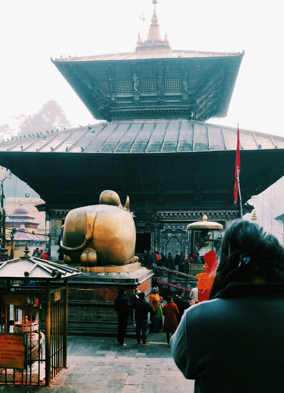 Photo of Serene Nepal : Roadtrip to Neighborhood by Ashi