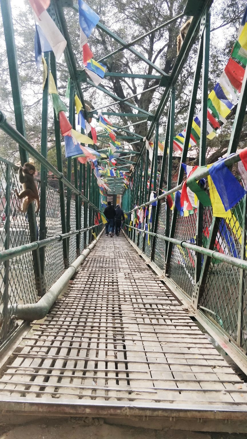 Photo of Serene Nepal : Roadtrip to Neighborhood by Ashi