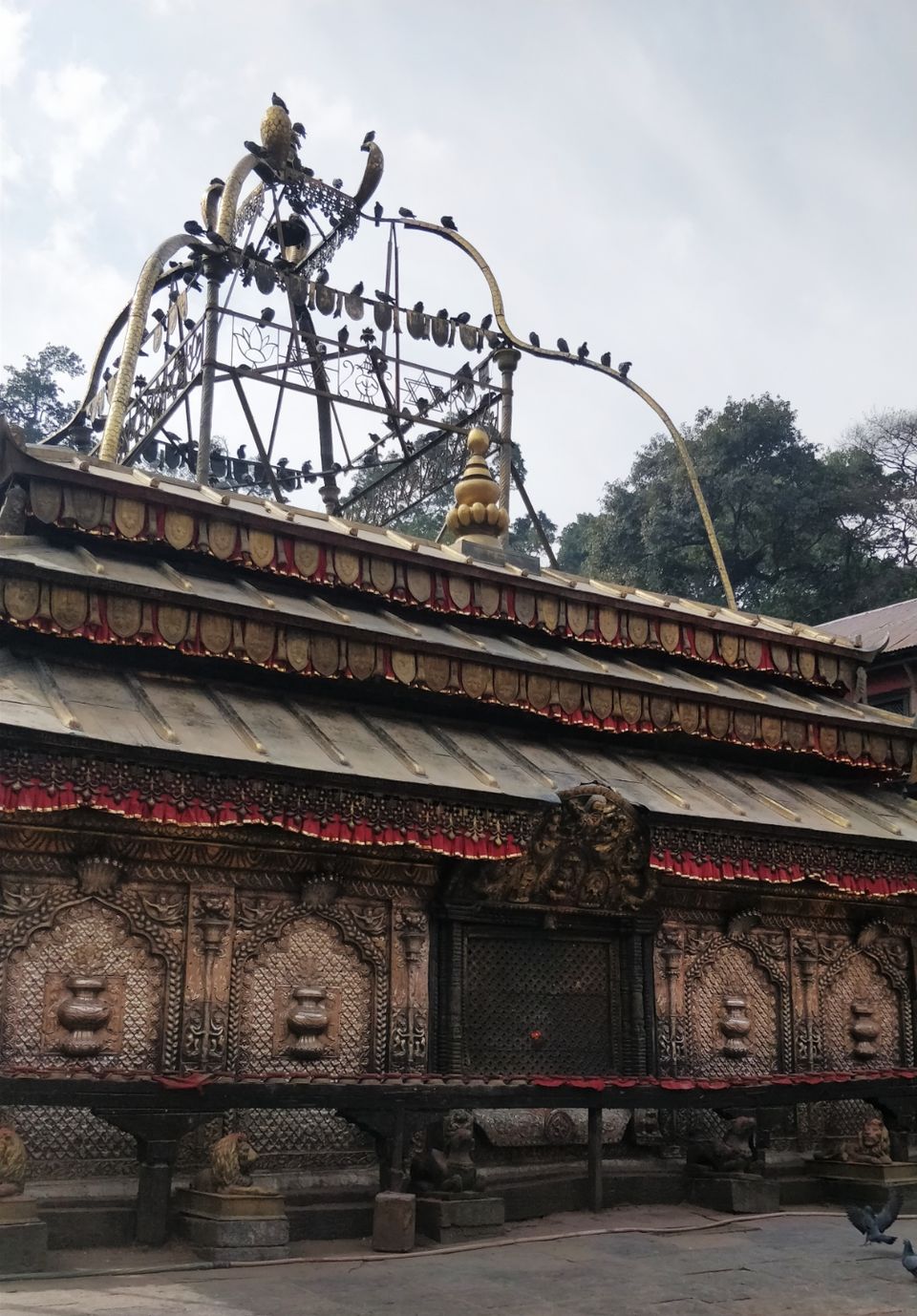 Photo of Serene Nepal : Roadtrip to Neighborhood by Ashi