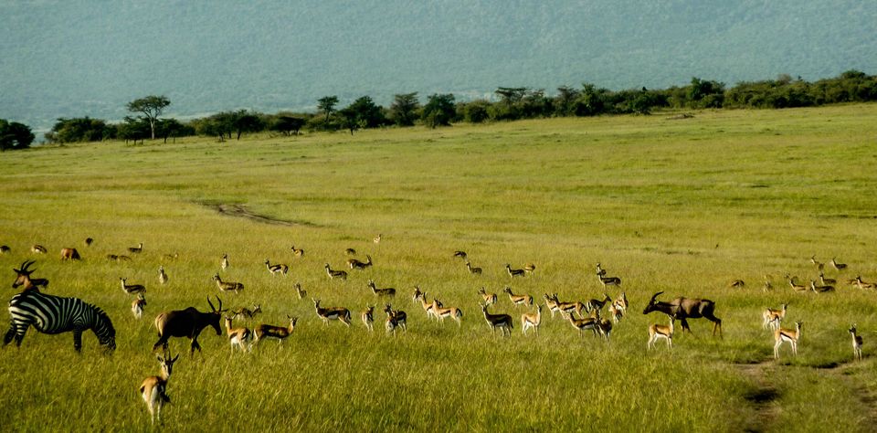 Photo of Varsha travels to Kenya by Varsha Suresh