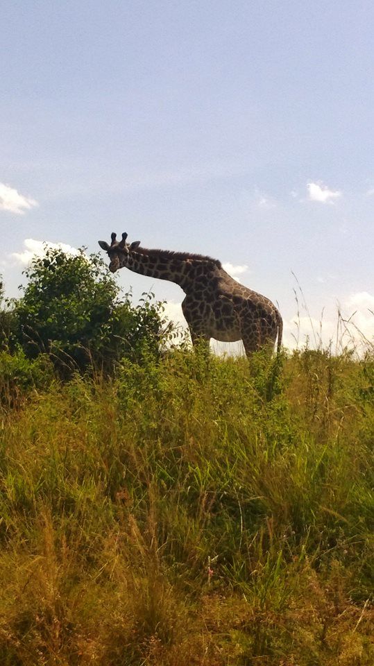 Photo of Varsha travels to Kenya by Varsha Suresh