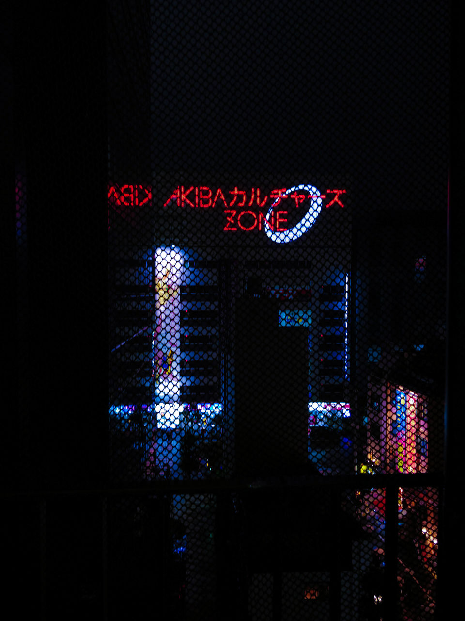Photo of Varsha travels to Tokyo,Japan 3/9 by Varsha Suresh