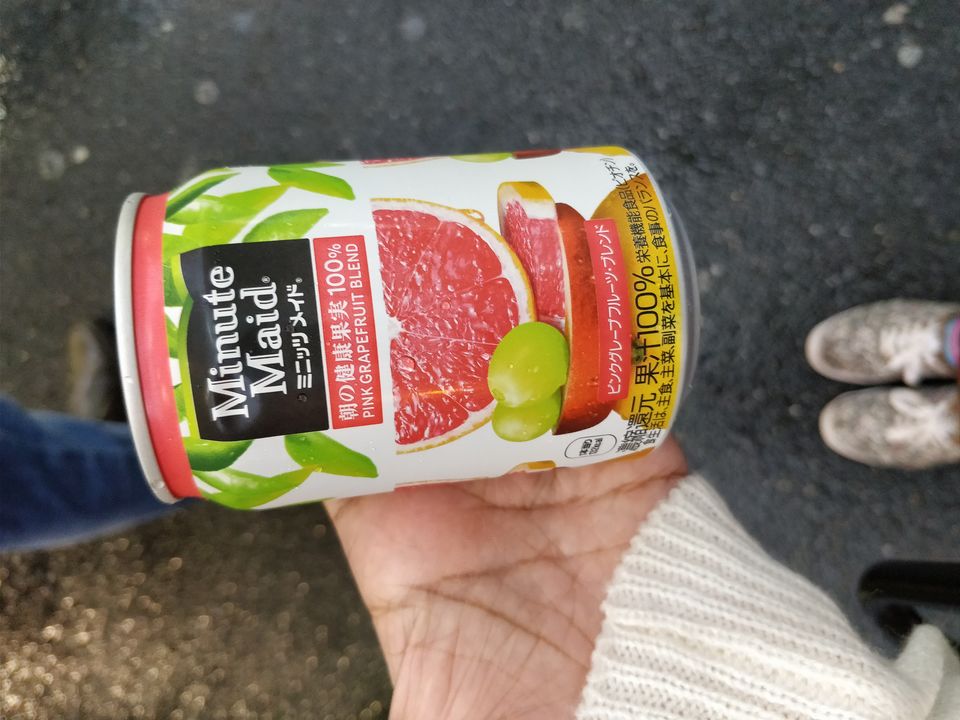 Photo of Varsha travels to Tokyo,Japan 9/9 by Varsha Suresh