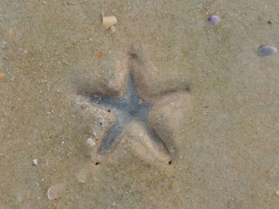 Photo of Salty Skin... Sandy Toes #offbeatgoa by Rosel