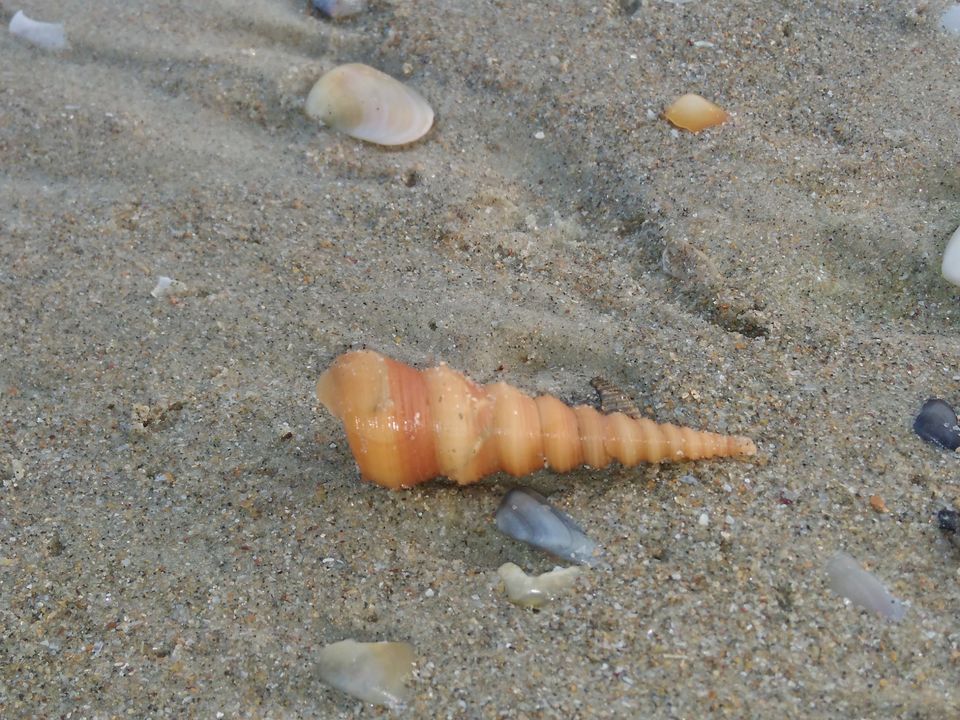 Photo of Salty Skin... Sandy Toes #offbeatgoa by Rosel