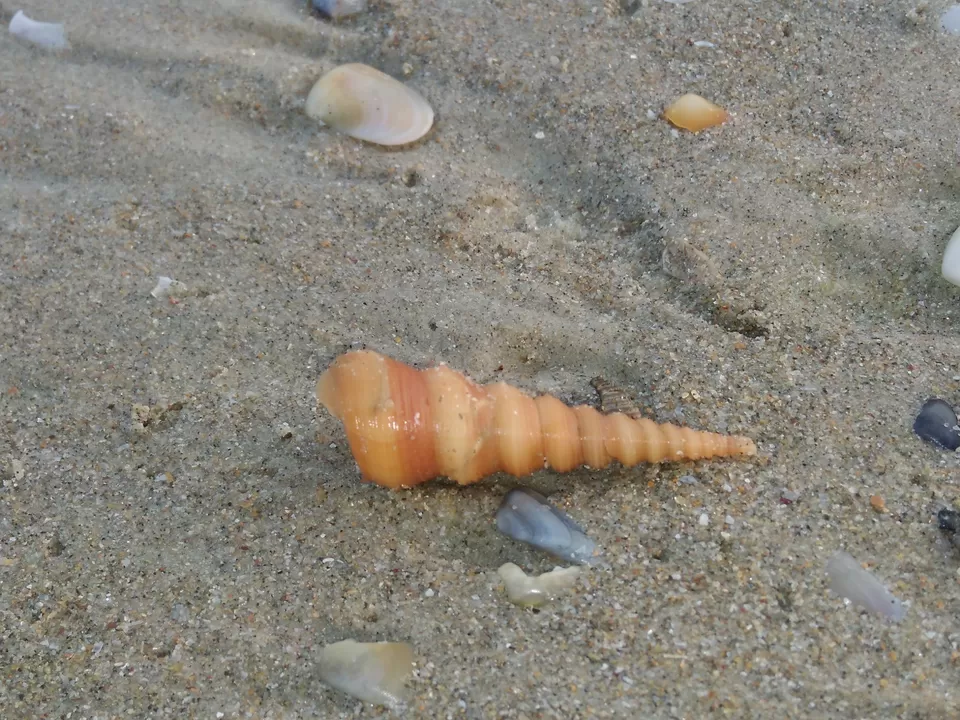 Photo of Salty Skin... Sandy Toes #offbeatgoa by Rosel