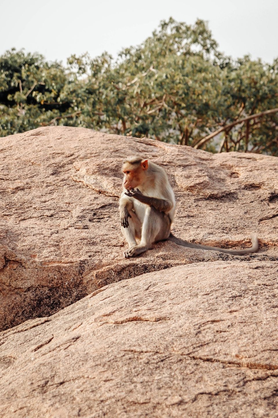 Photo of Hampi ing under 2.5k by Aiswarya Shaji Dev