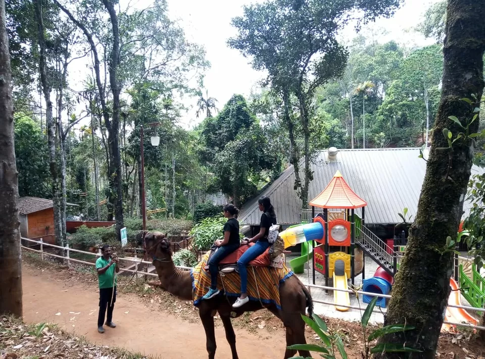 Photo of Dream Land, Munnar - Aluva Road, Chillithodu, Kerala, India by Aiswarya Shaji Dev