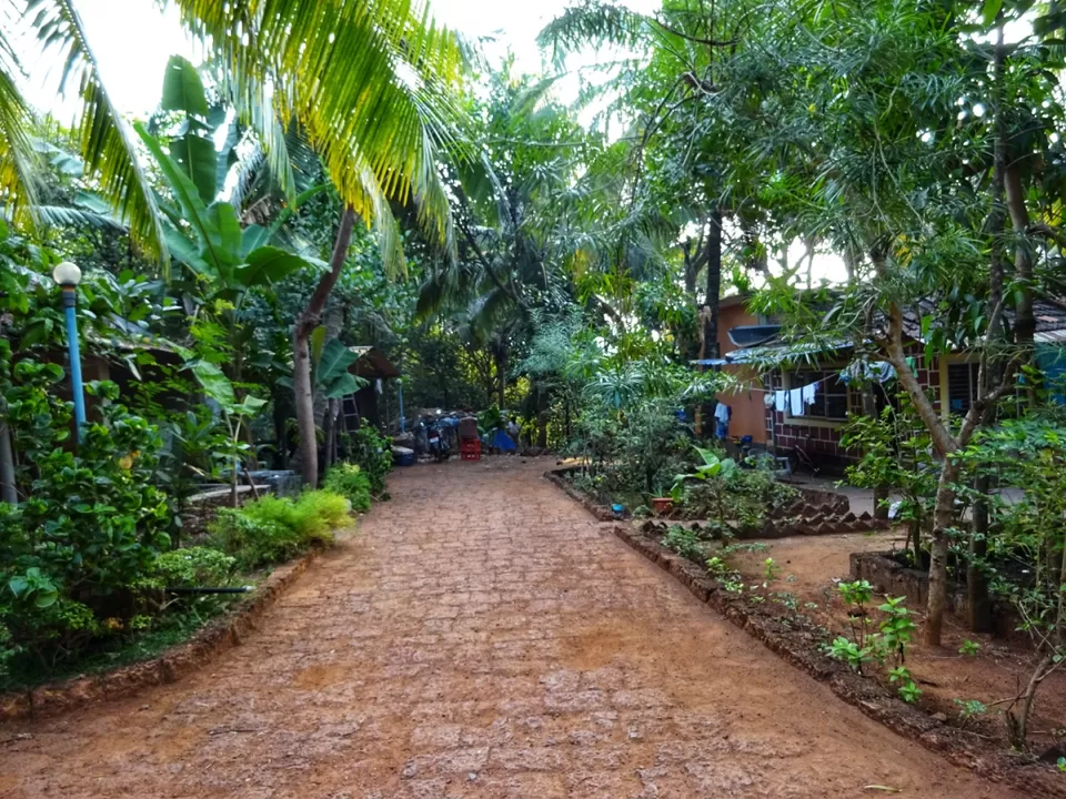 Photo of Namaste Cafe, Gokarna, Karnataka, India by Meghali Ghosh