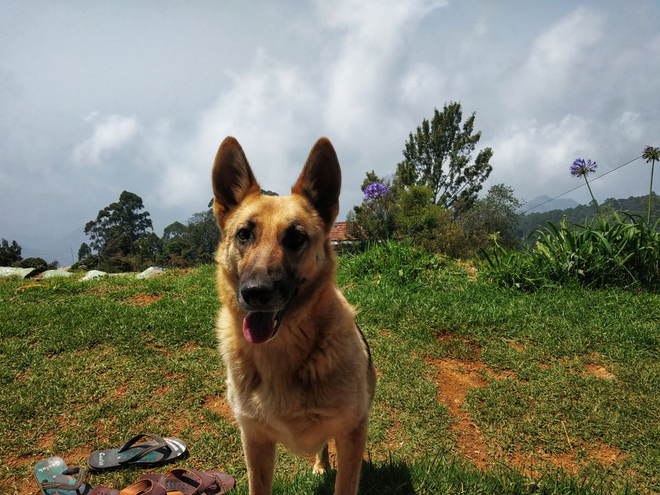 Photo of Vattakanal & Kodaikanal 6/8 by Meghali Ghosh