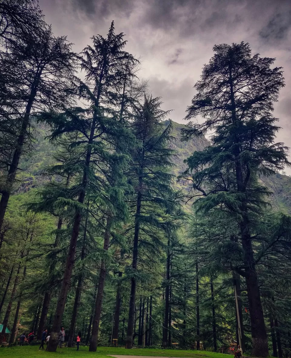 Photo of Evergreen Cafe, Manikaran Road, Kasol, Himachal Pradesh, India by Meghali Ghosh
