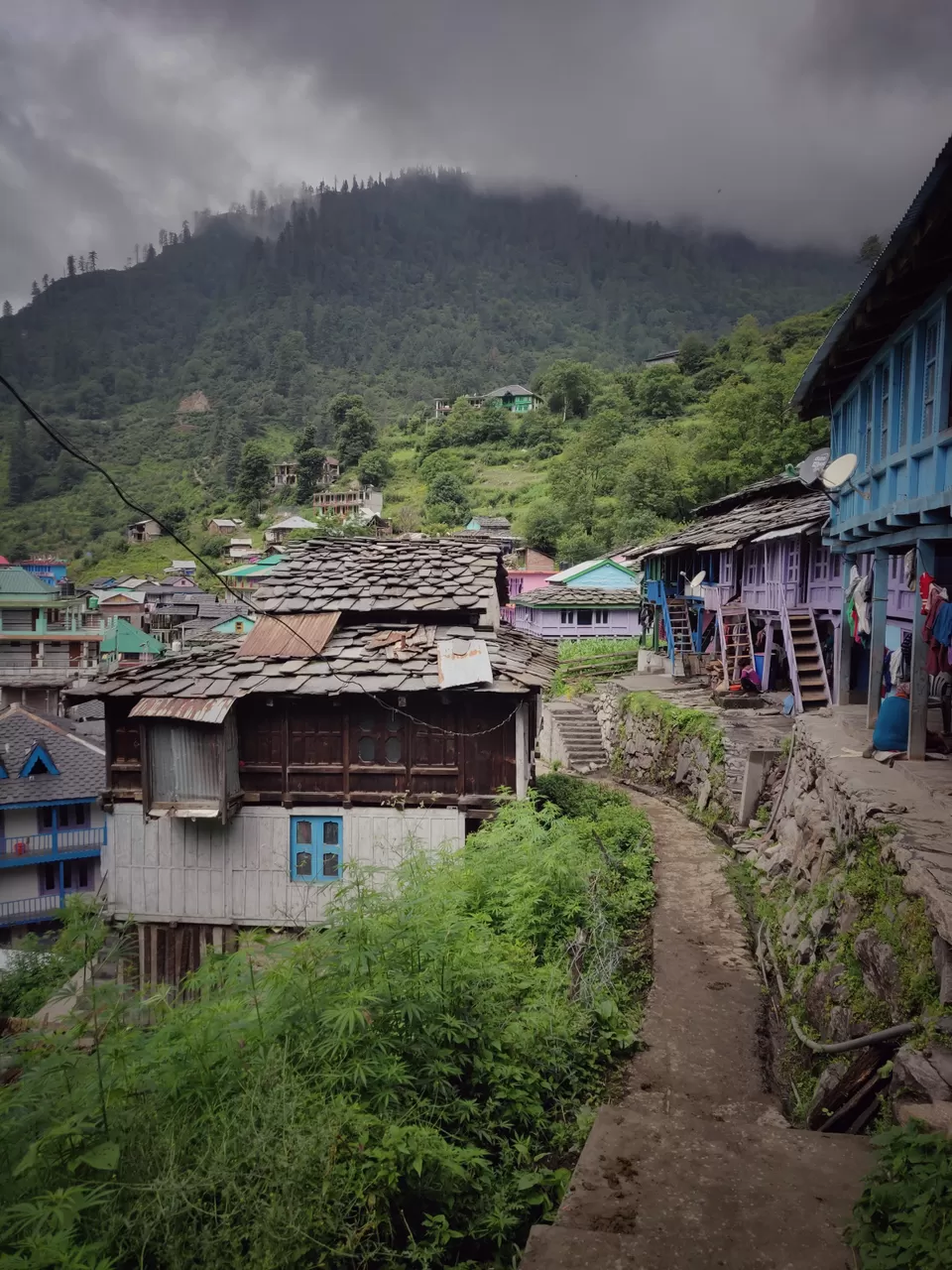 Photo of Tosh, Himachal Pradesh, India by Meghali Ghosh