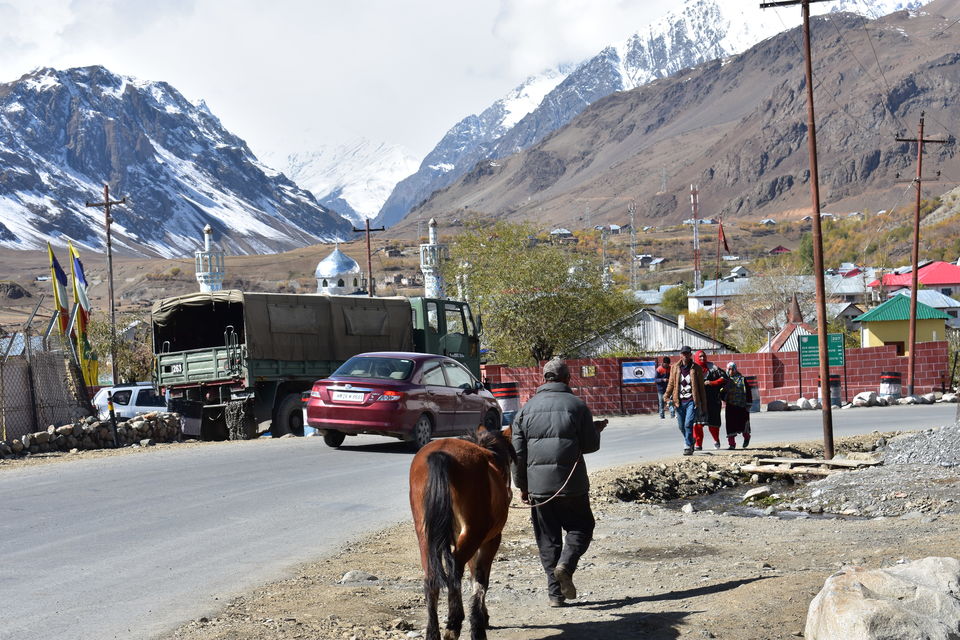 Photo of Dras, Kargil by Lobzang Tsering