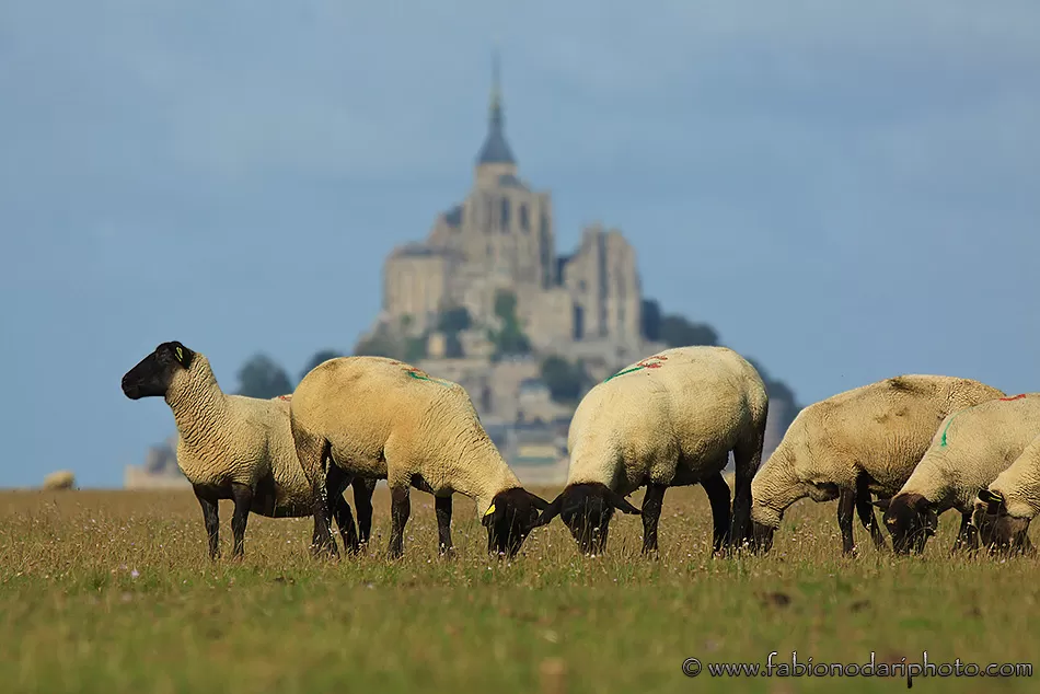 Photo of Mont Saint-Michel, France by Fabio Nodari