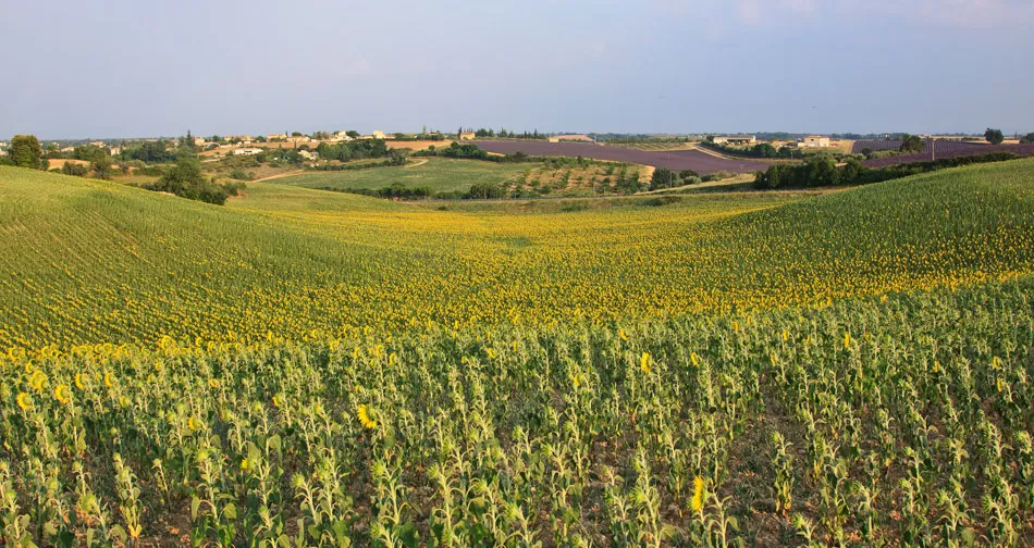 Photo of Provence, France by Fabio Nodari