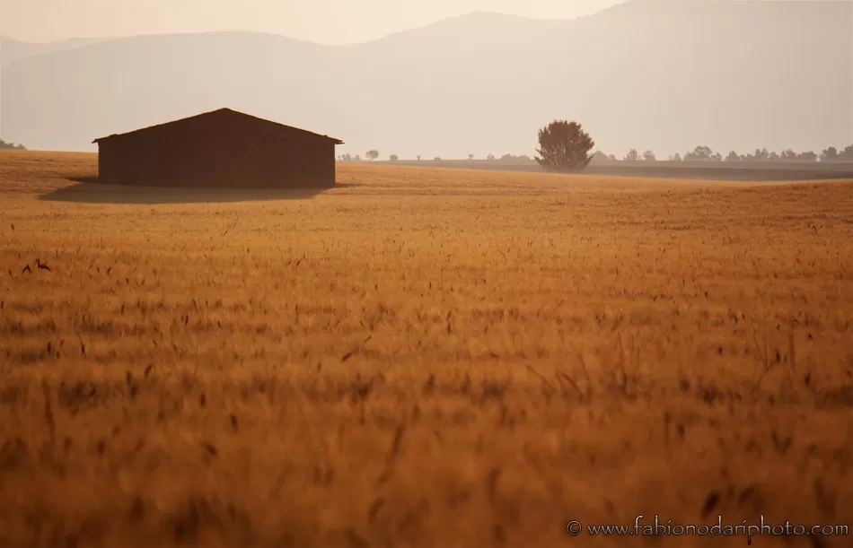 Photo of Provence, France by Fabio Nodari