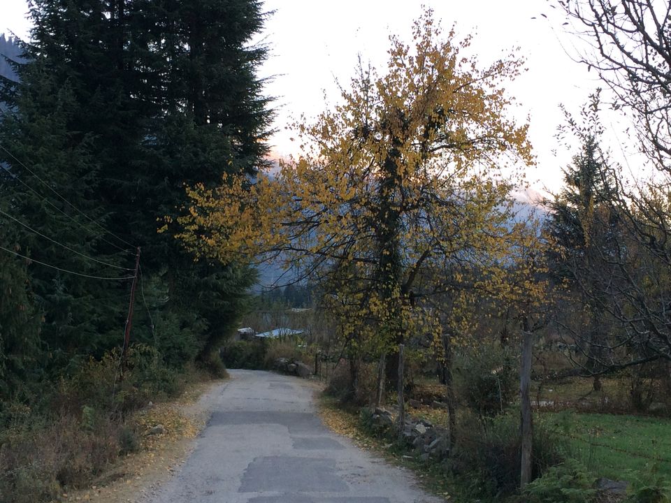 Photo of Manali, Himachal Pradesh, India by Rupali