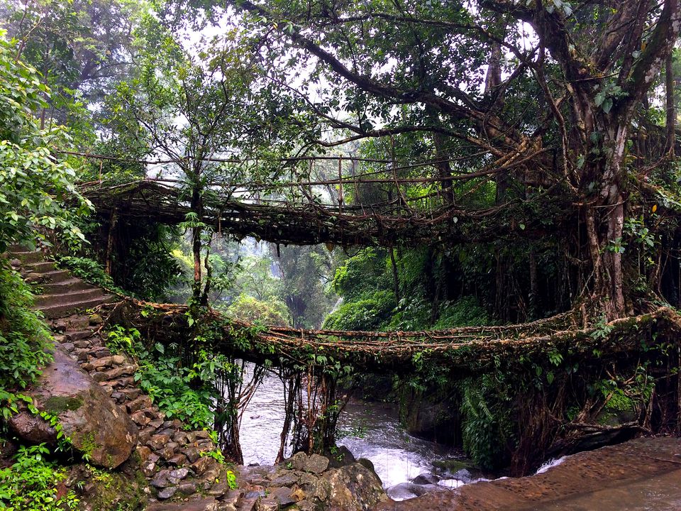 Photo of Cherrapunjee, Meghalaya, India by Rupali