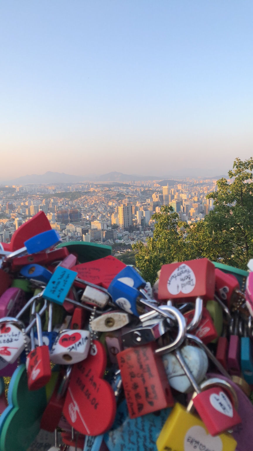 Photo of Seoul Has My Soul by Janvi Patel