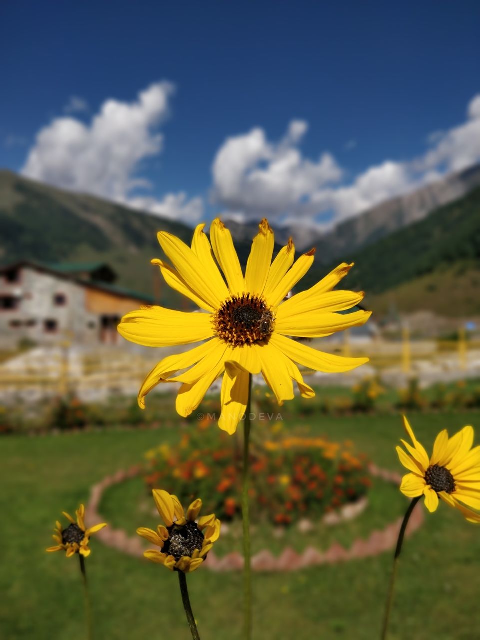 Photo of The land that possess plethora of nature #kashmirinphotos by First_of_my_name