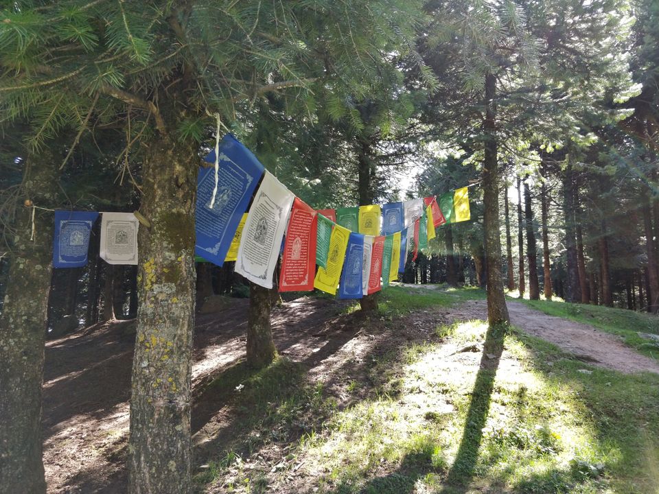 Photo of Jispa, Himachal Pradesh, India by First_of_my_name