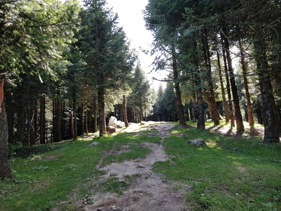 Photo of Jispa, Himachal Pradesh, India by First_of_my_name