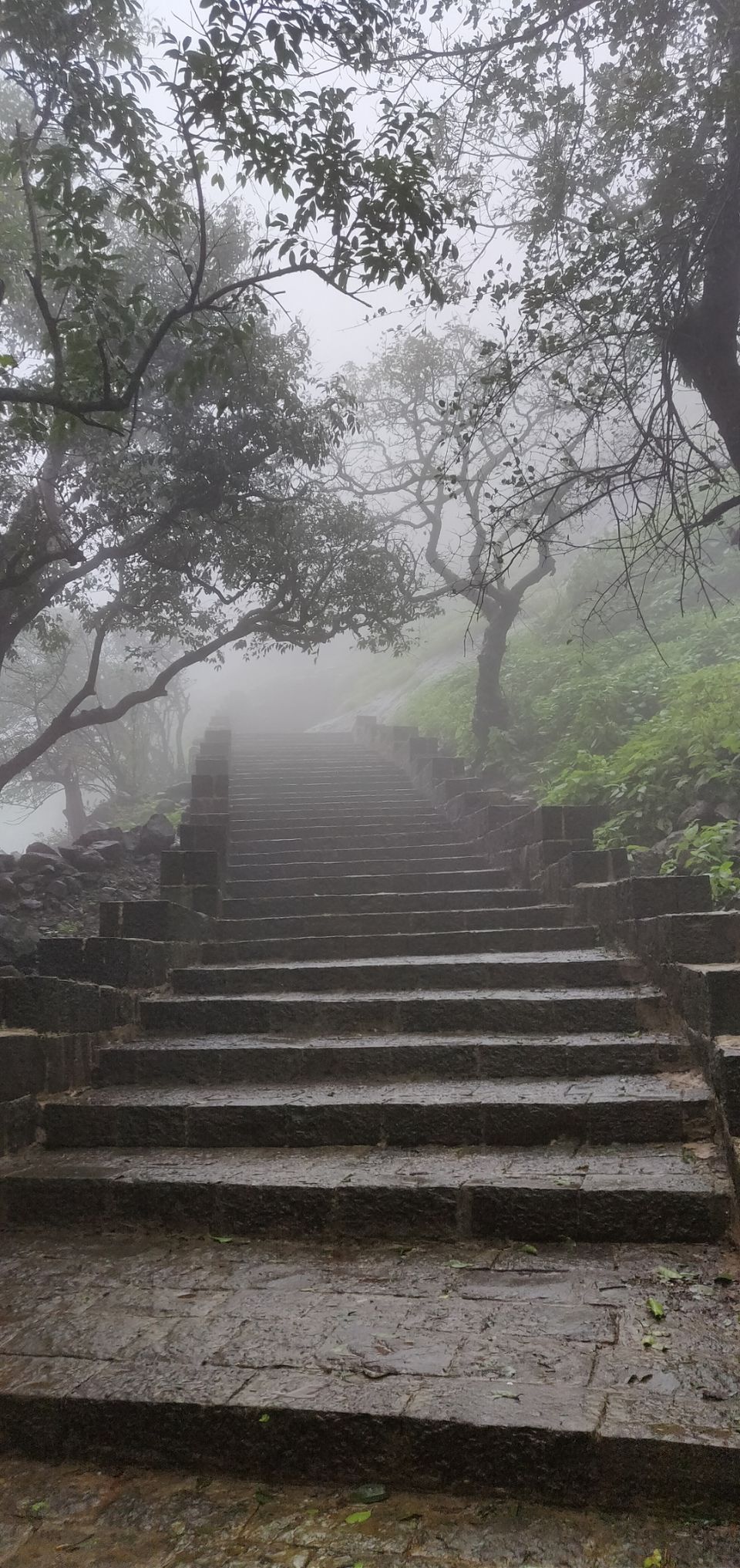 Photo of Rajmachi Point, Khandala, Lonavla, Maharashtra by TheCrazyIndianNomad