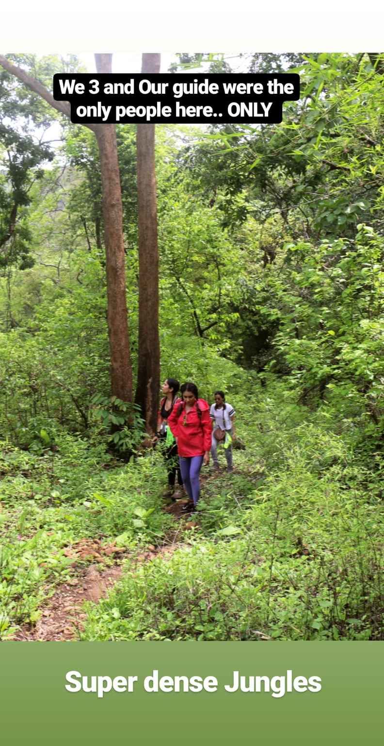 Photo of Jambhulmal, Maharashtra, India by TheCrazyIndianNomad