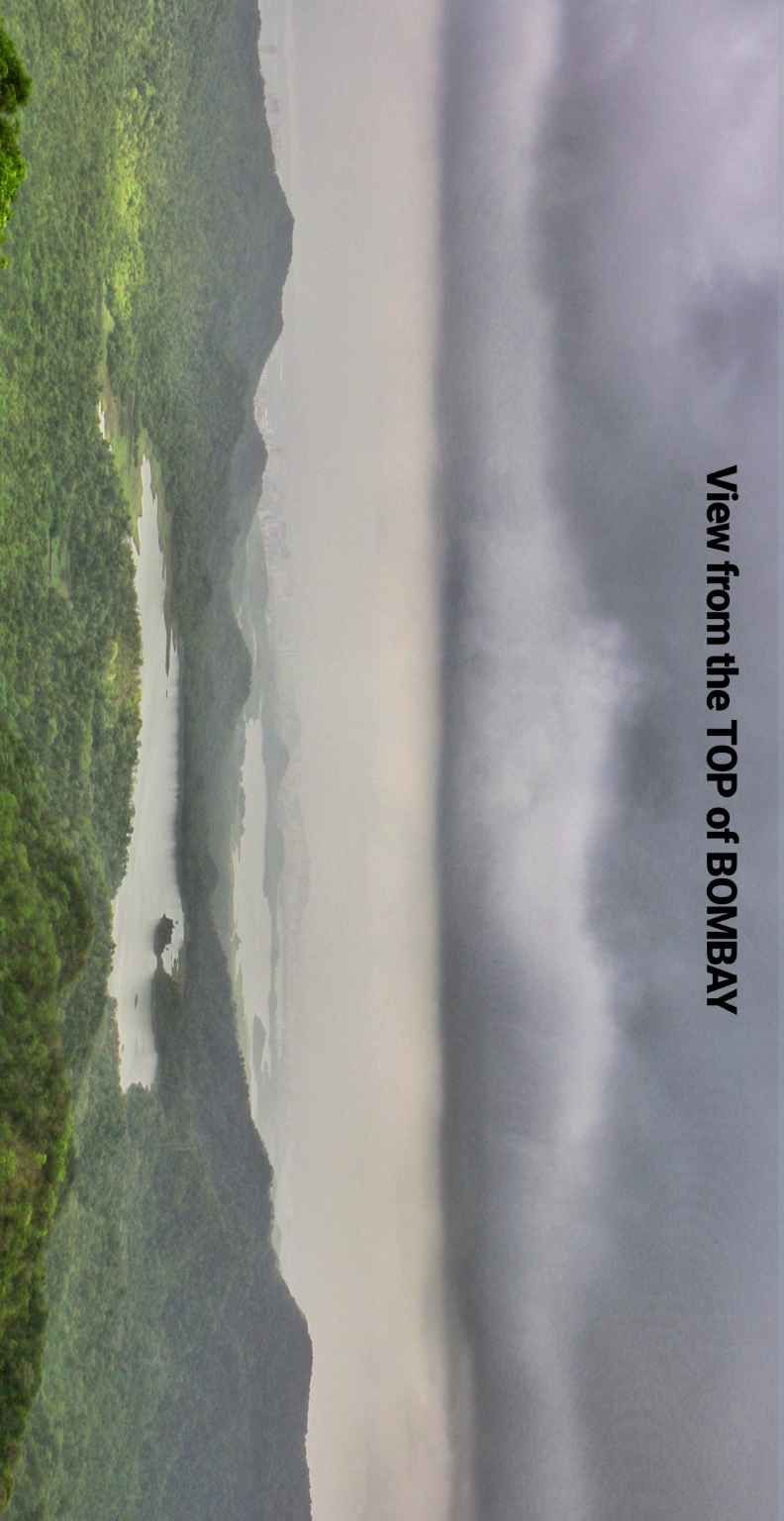Photo of Jambhulmal, Maharashtra, India by TheCrazyIndianNomad