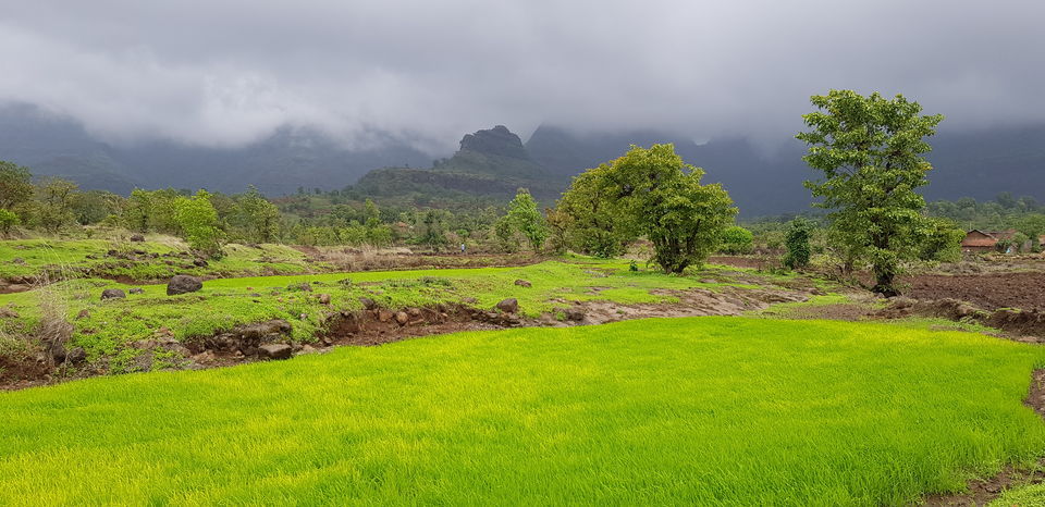 Photo of Igatpuri, Maharashtra, India by TheCrazyIndianNomad