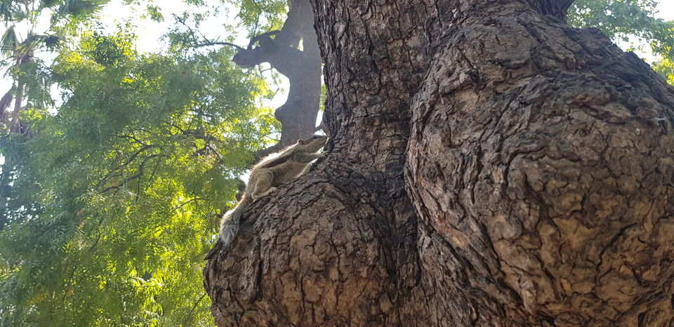 Photo of Have you visited Sabarmati Ashram in Ahemdabad?? Good walk down History #ahemdabad #blogger  2/11 by TheCrazyIndianNomad 