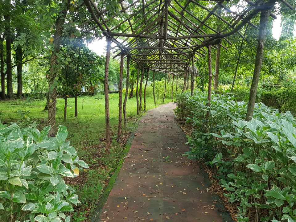 Photo of Jambhulmal, Maharashtra, India by TheCrazyIndianNomad