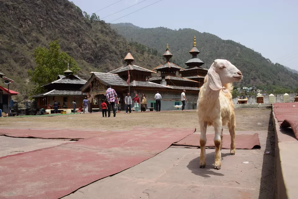Photo of Mahasu Devta Temple Hanol, Hanol, Uttarakhand, India by Jitendra Kumar
