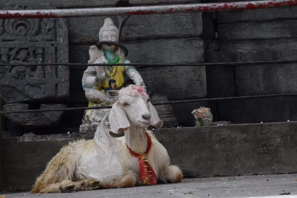 Photo of Mahasu Devta Temple Hanol, Hanol, Uttarakhand, India by Jitendra Kumar