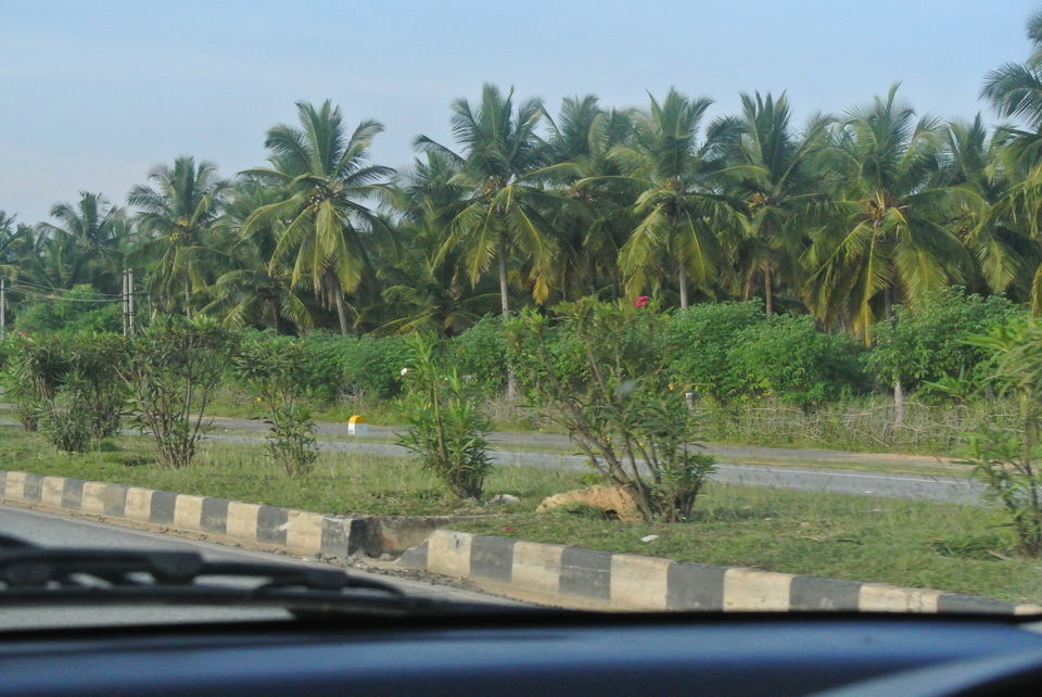 Photo of Chikamanglur....A trip we will never forget 2/71 by The BhuParyatak