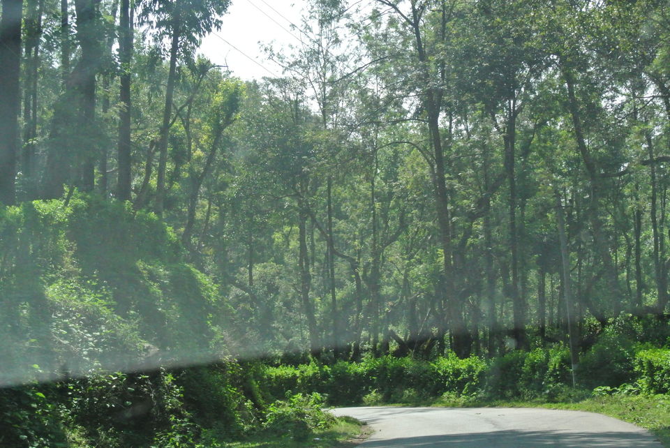 Photo of Chikamanglur....A trip we will never forget 7/71 by The BhuParyatak