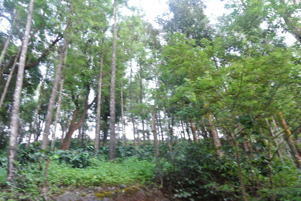 Photo of Chikamanglur....A trip we will never forget 18/71 by The BhuParyatak