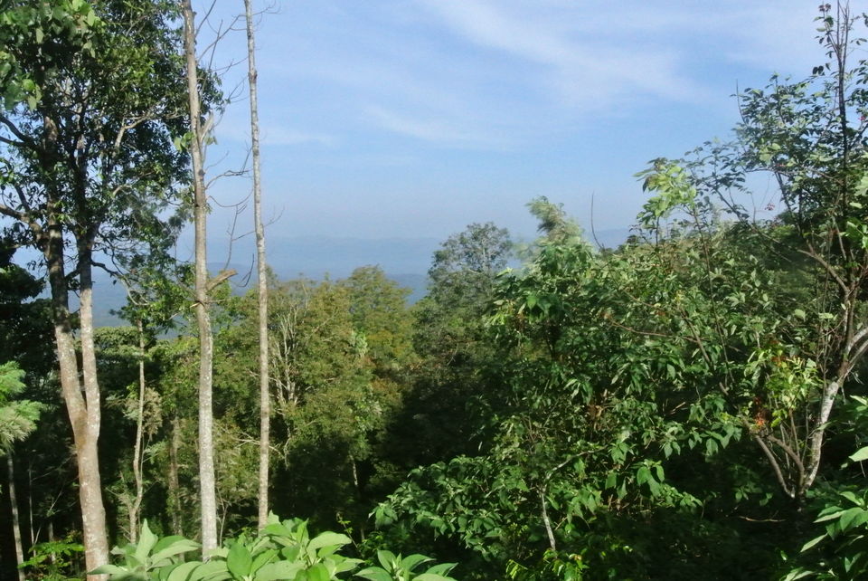 Photo of Chikamanglur....A trip we will never forget 23/71 by The BhuParyatak
