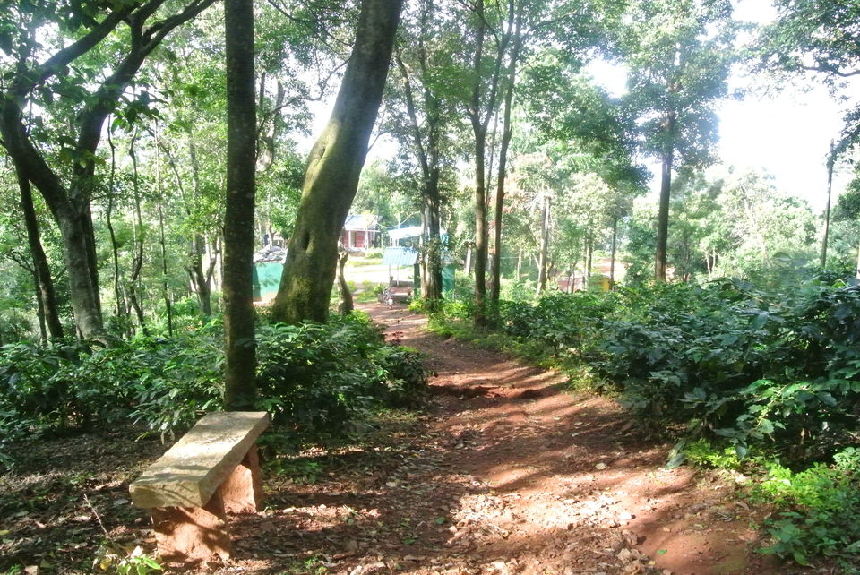 Photo of Chikamanglur....A trip we will never forget 24/71 by The BhuParyatak