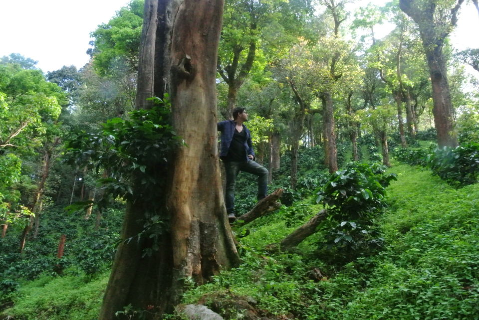 Photo of Chikamanglur....A trip we will never forget 27/71 by The BhuParyatak