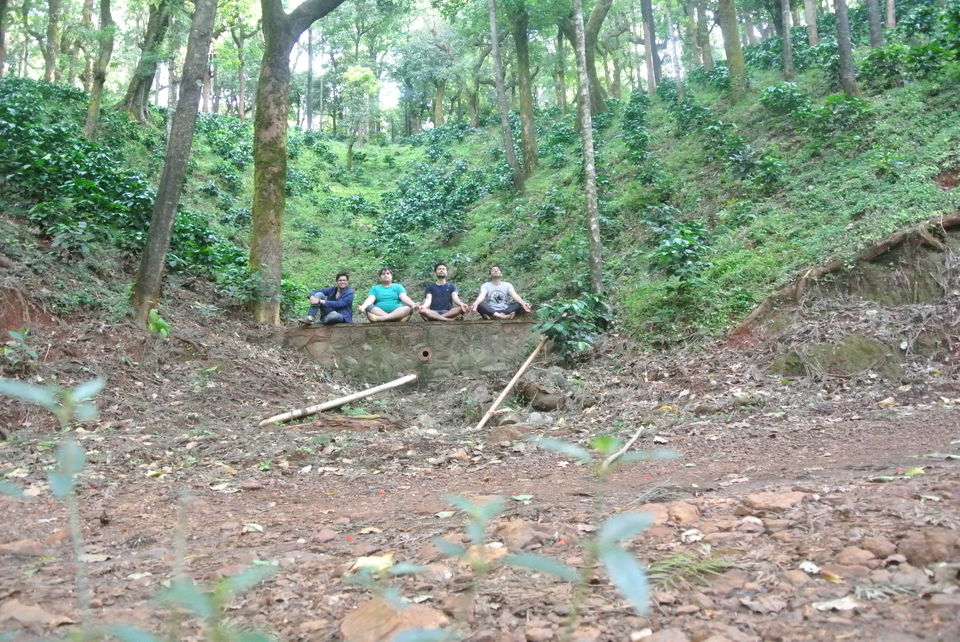 Photo of Chikamanglur....A trip we will never forget 28/71 by The BhuParyatak