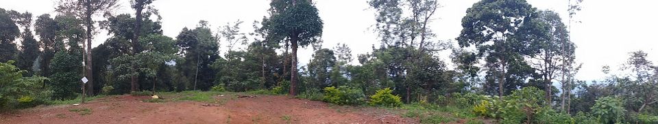 Photo of Chikamanglur....A trip we will never forget 57/71 by The BhuParyatak