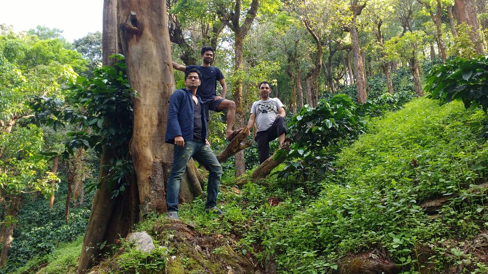 Photo of Chikamanglur....A trip we will never forget 61/71 by The BhuParyatak